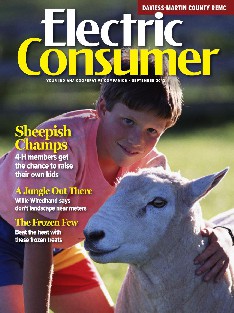 Indiana Electric Consumer Magazine